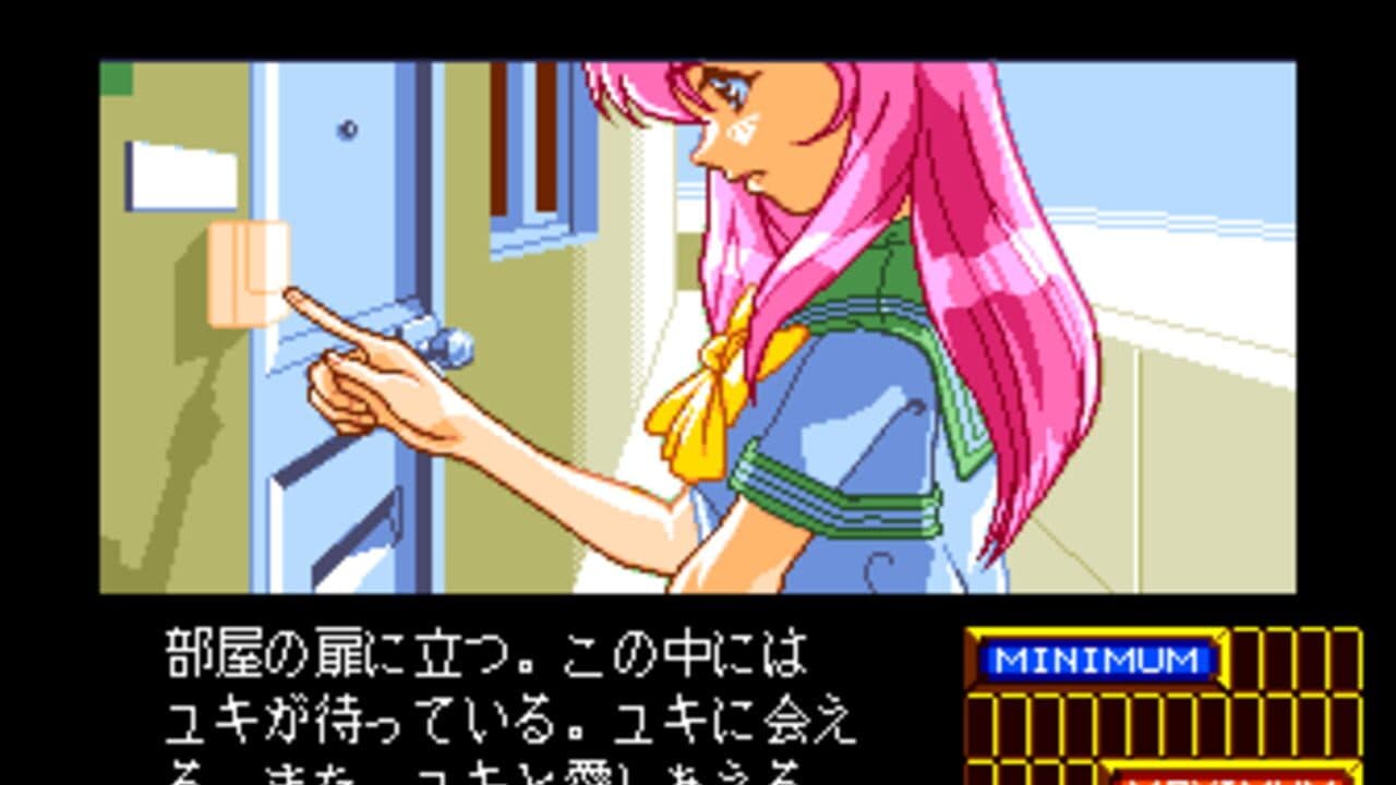 Shinsetsu Shiawase Usagi 2 screenshot 1