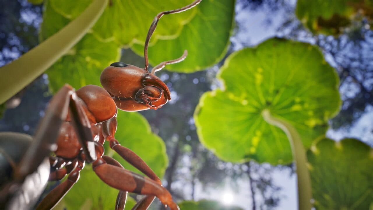 Empire of the Ants screenshot 1
