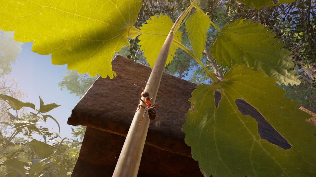 Empire of the Ants thumbnail 4
