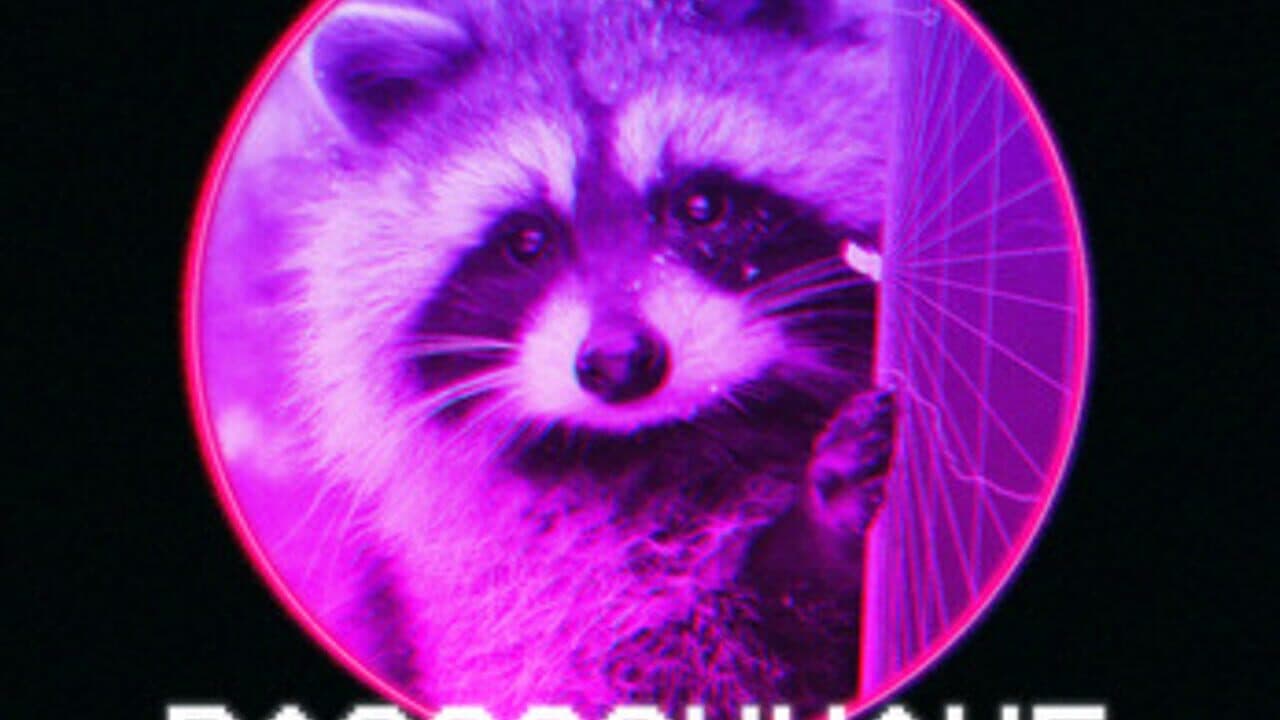Raccoonwave screenshot 1