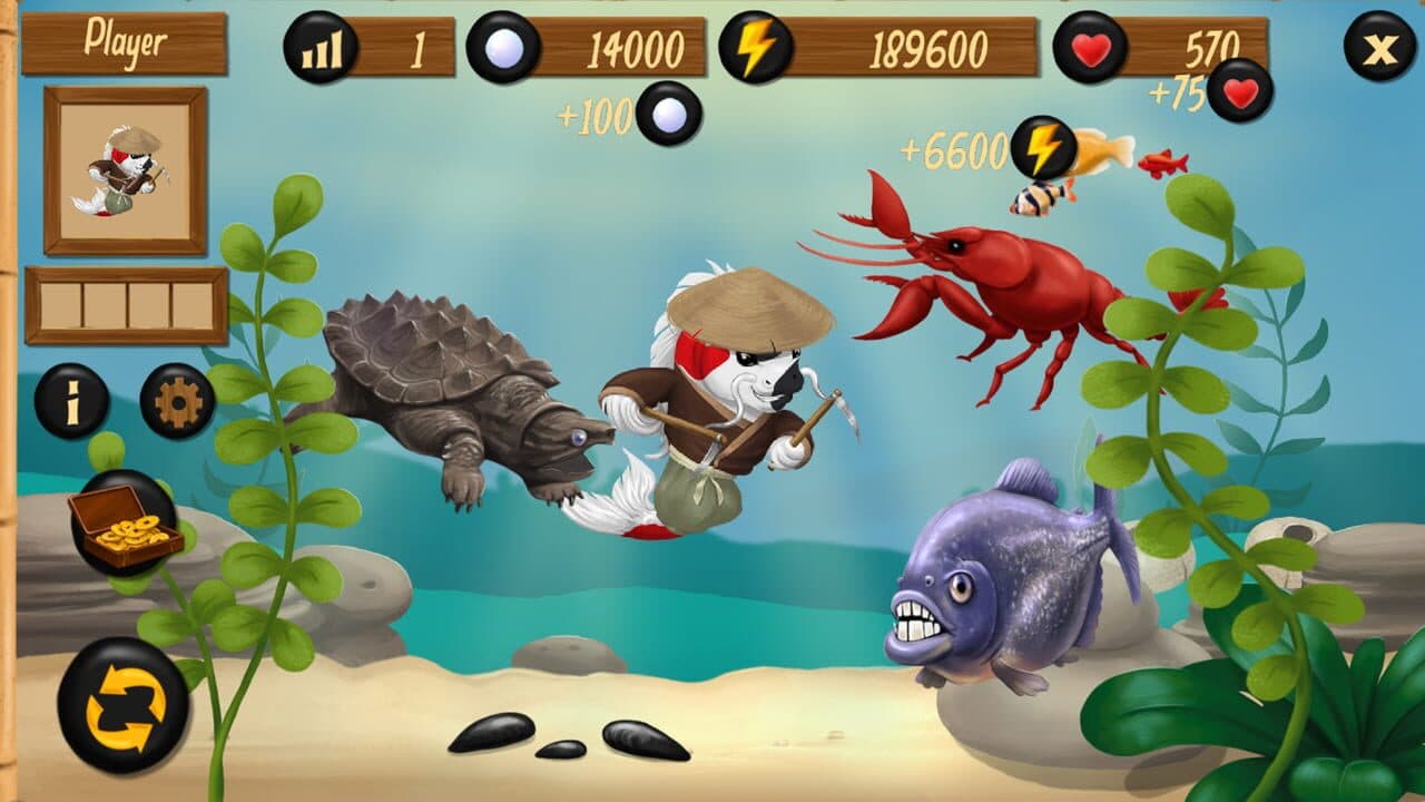 Koi Dojo thumbnail 5