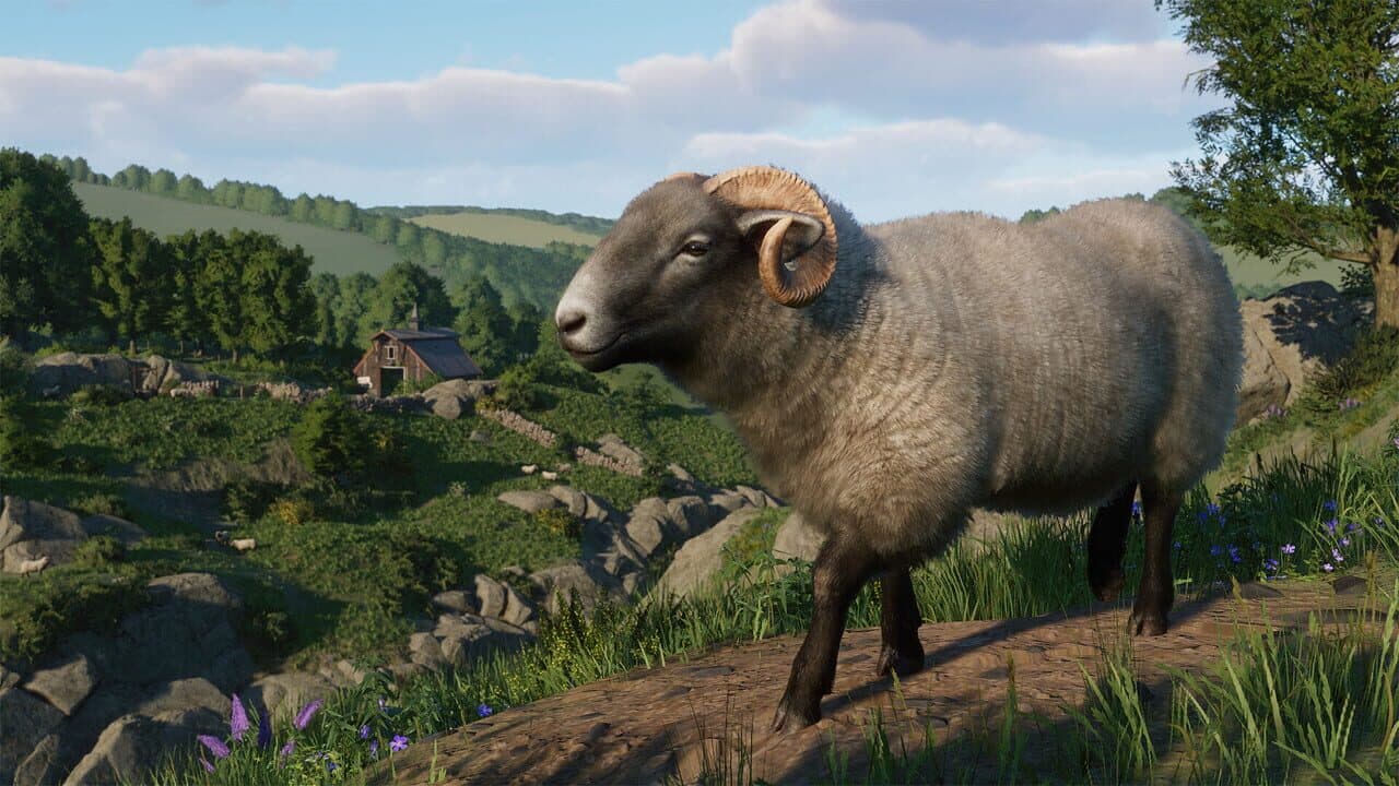 Planet Zoo: Barnyard Animal Pack thumbnail 7