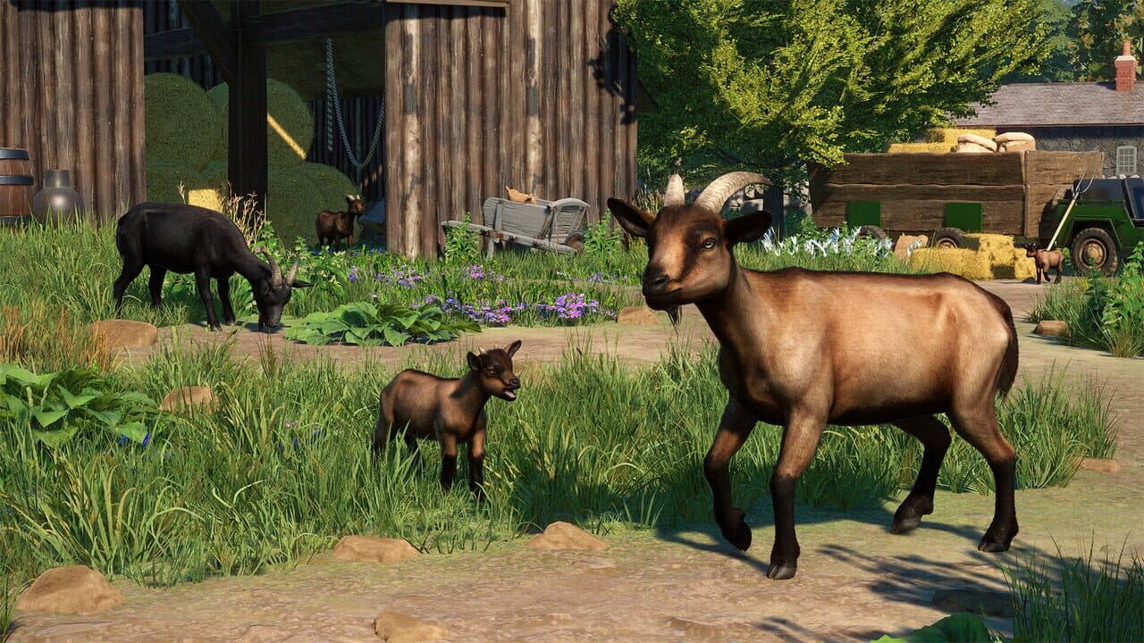 Planet Zoo: Barnyard Animal Pack thumbnail 10