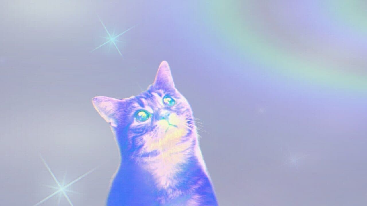 Puss! thumbnail 12