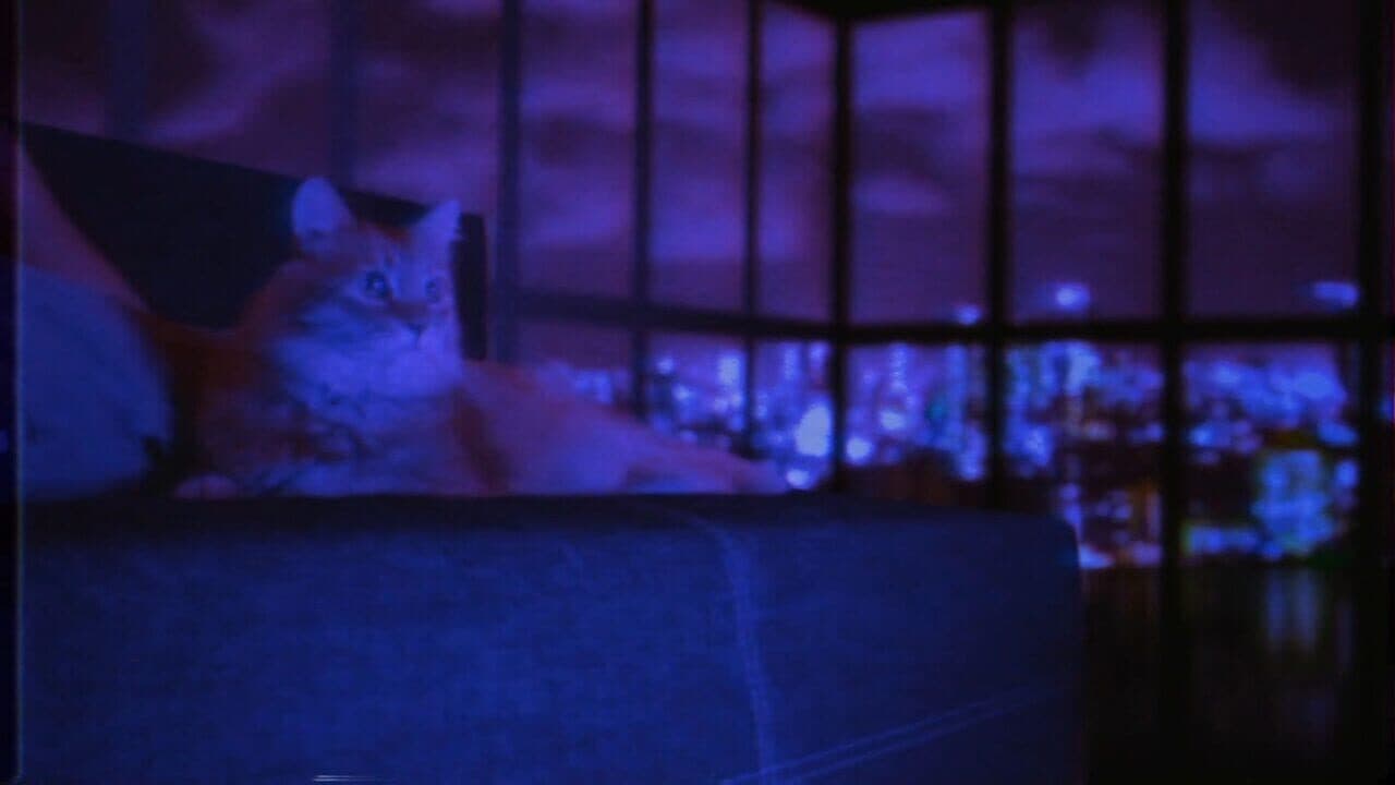 Puss! thumbnail 13