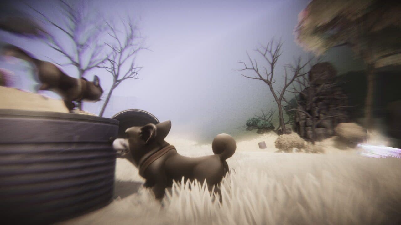 Heaven's Paws thumbnail 4