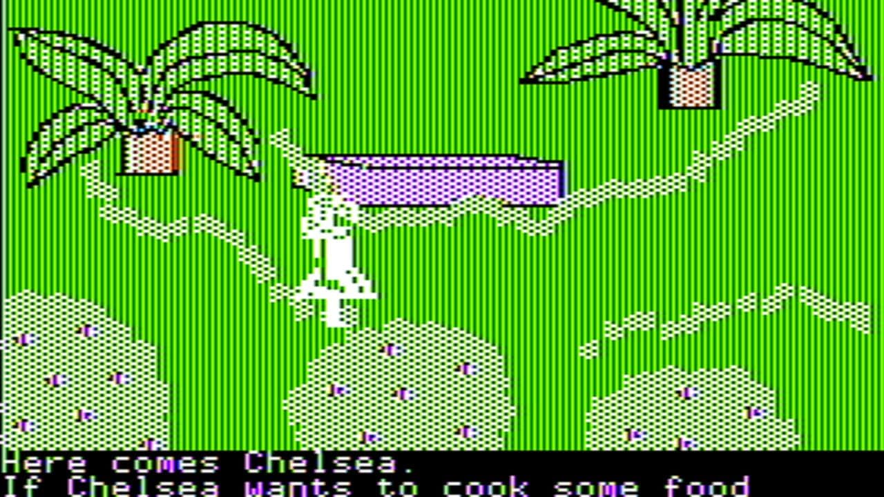 Chelsea of the South Sea Islands thumbnail 3