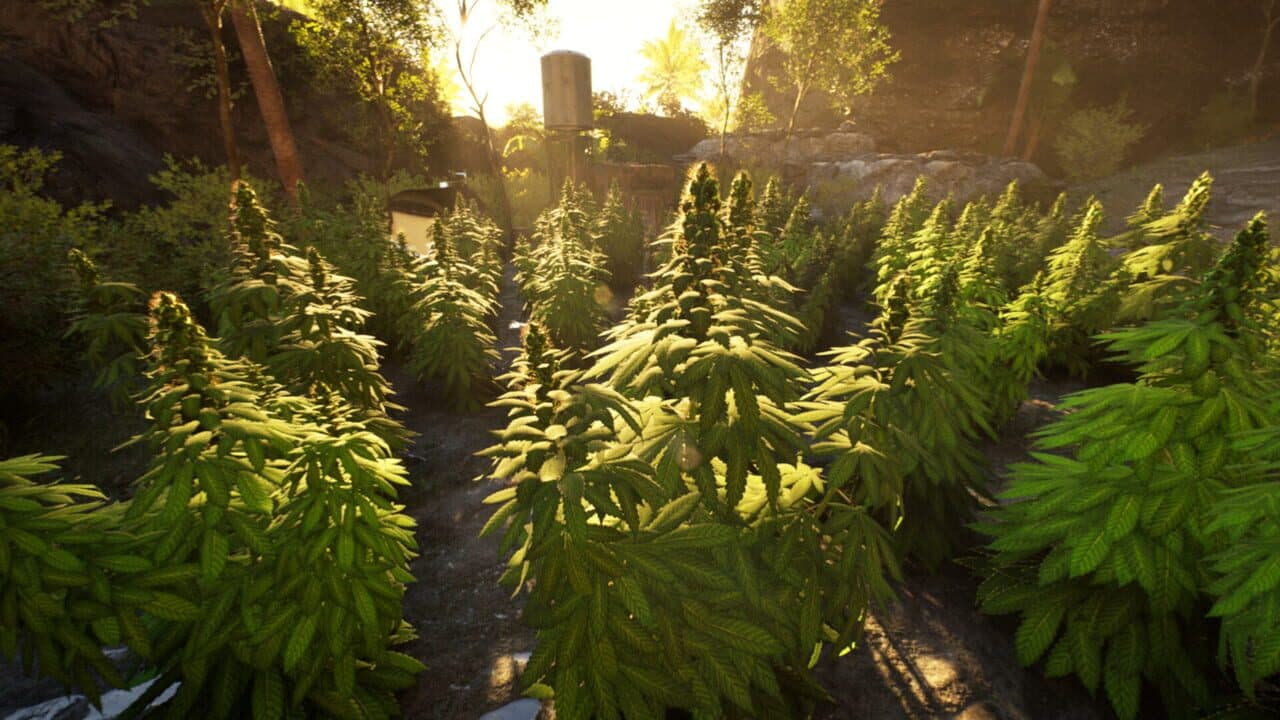 Weed Shop 4: Highland thumbnail 4