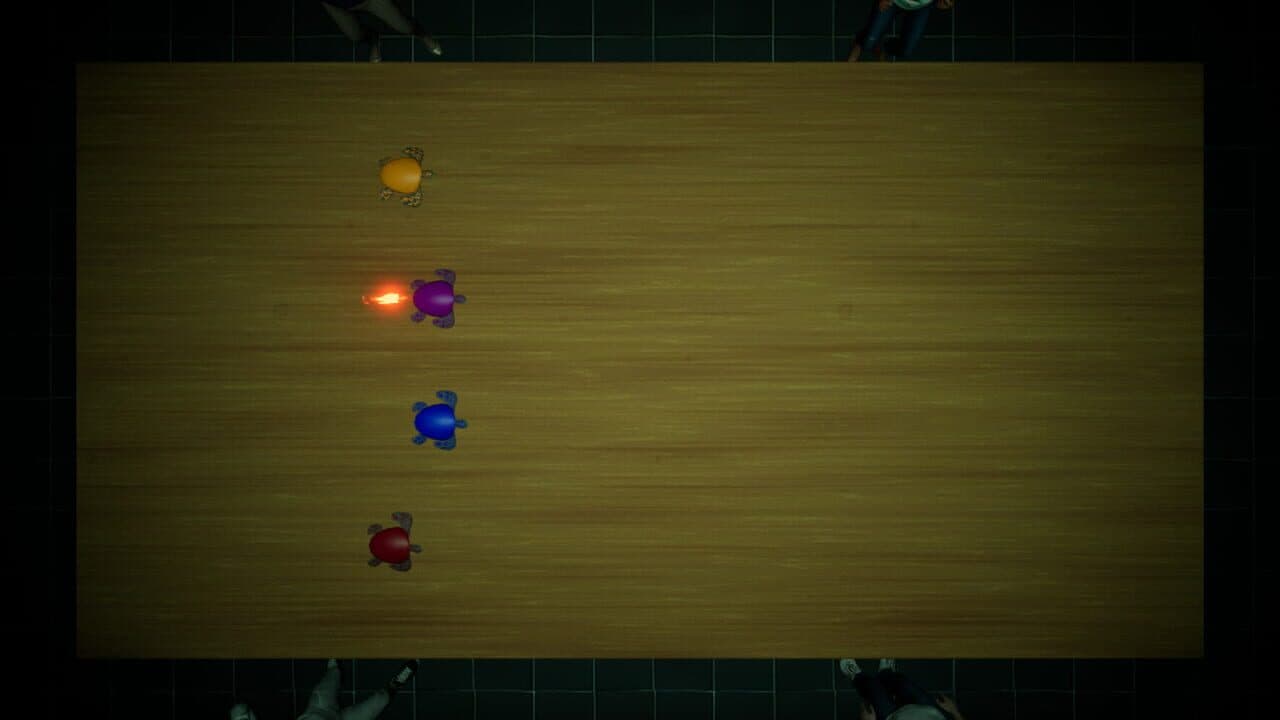 Underground Turtle Races thumbnail 3