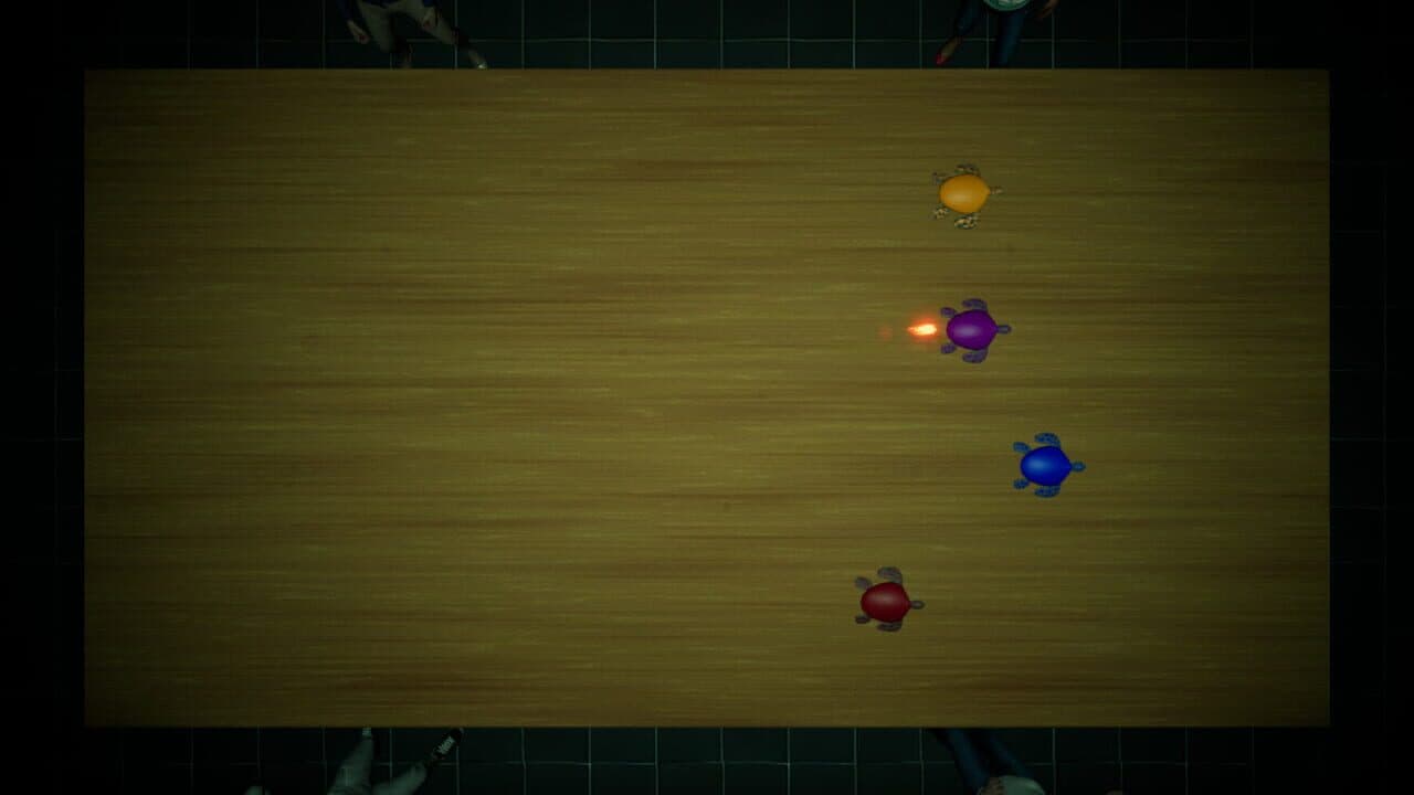 Underground Turtle Races thumbnail 4