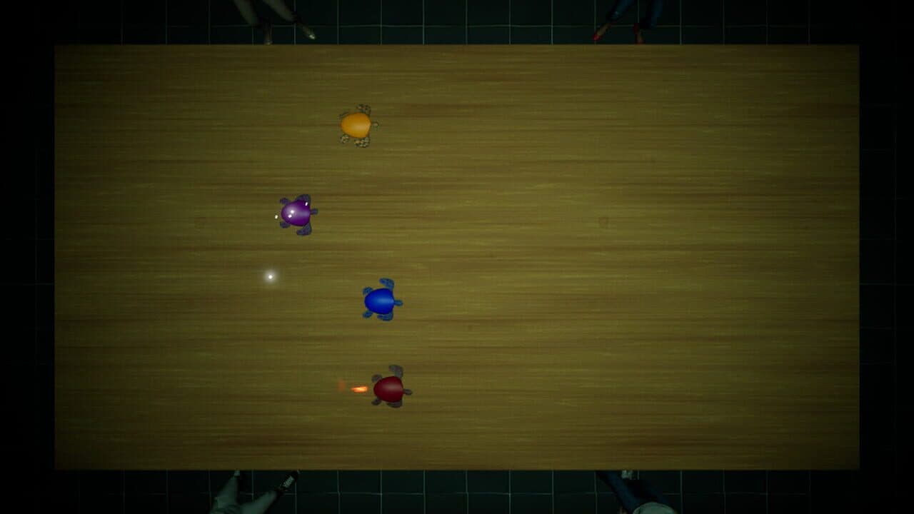 Underground Turtle Races thumbnail 5