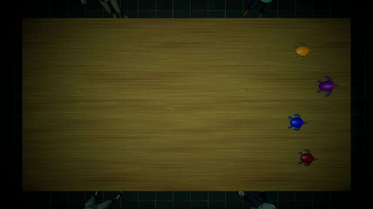 Underground Turtle Races thumbnail 7