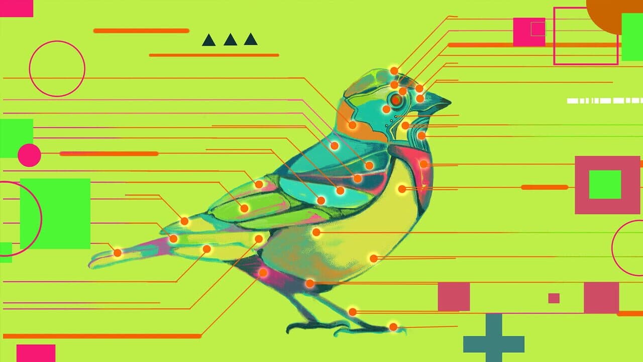 Avian Enigma screenshot 1