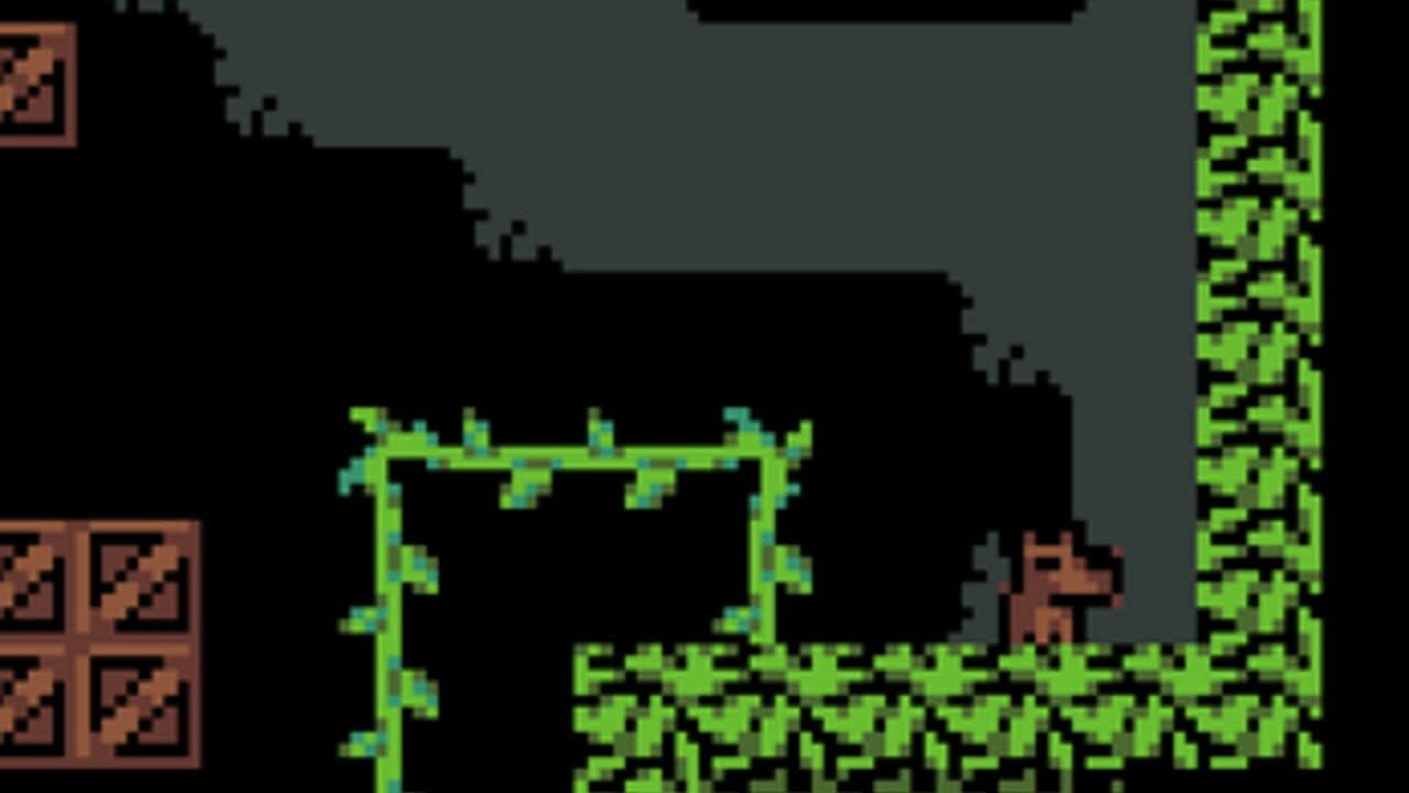 Crossybara thumbnail 4