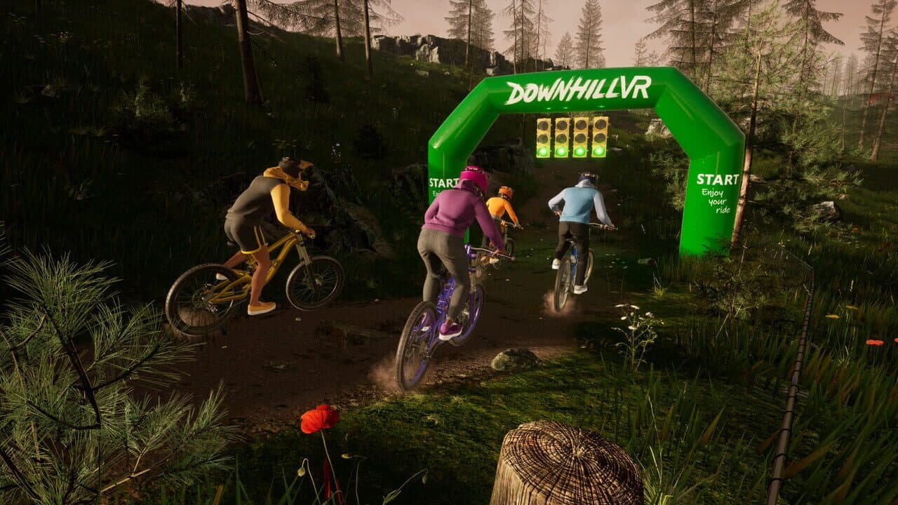 DownhillVR thumbnail 2