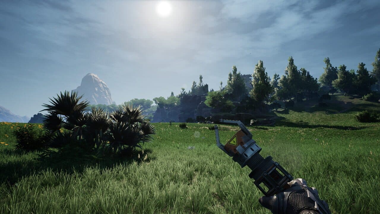 Satisfactory thumbnail 6