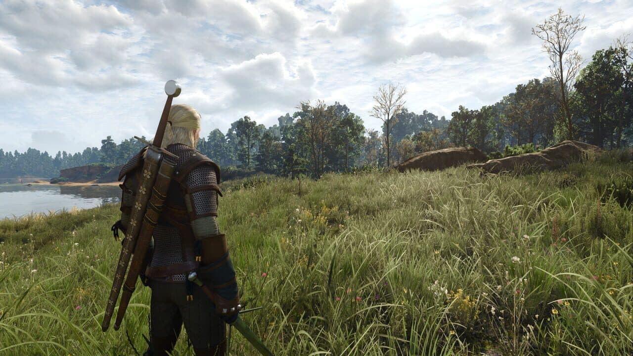 The Witcher 3: Wild Hunt thumbnail 11