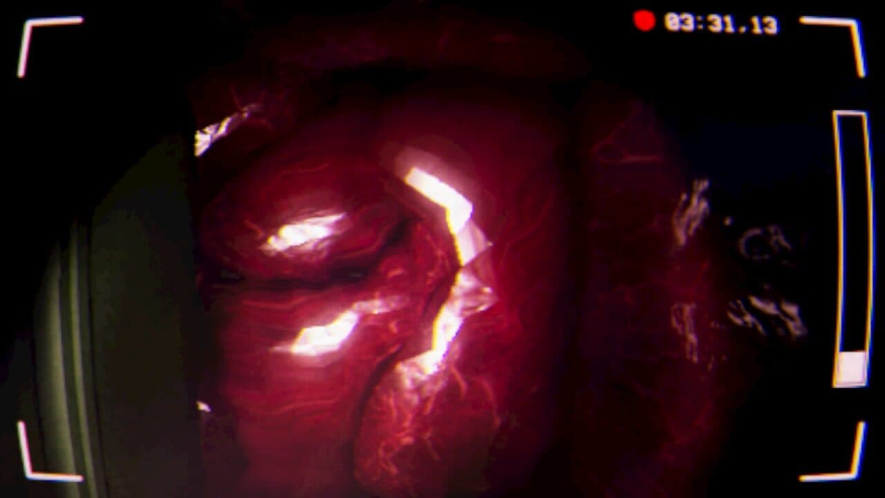The Dunkening thumbnail 6