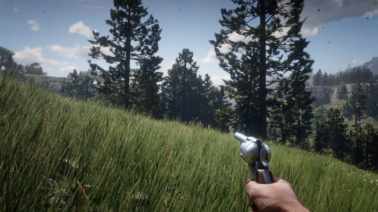 Red Dead Redemption 2 thumbnail 13