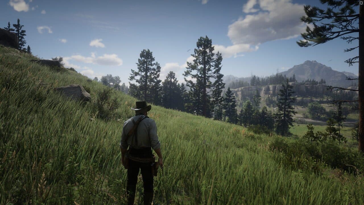 Red Dead Redemption 2 thumbnail 14