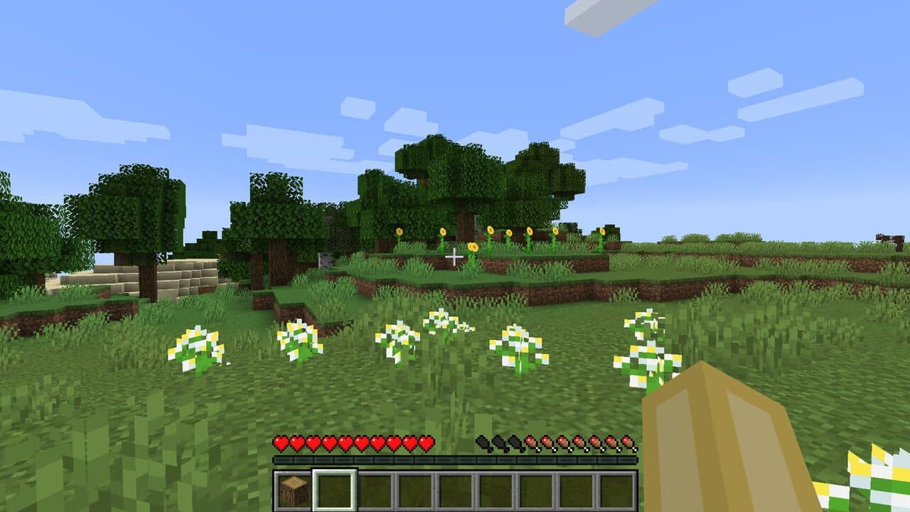 Minecraft: Java Edition thumbnail 11