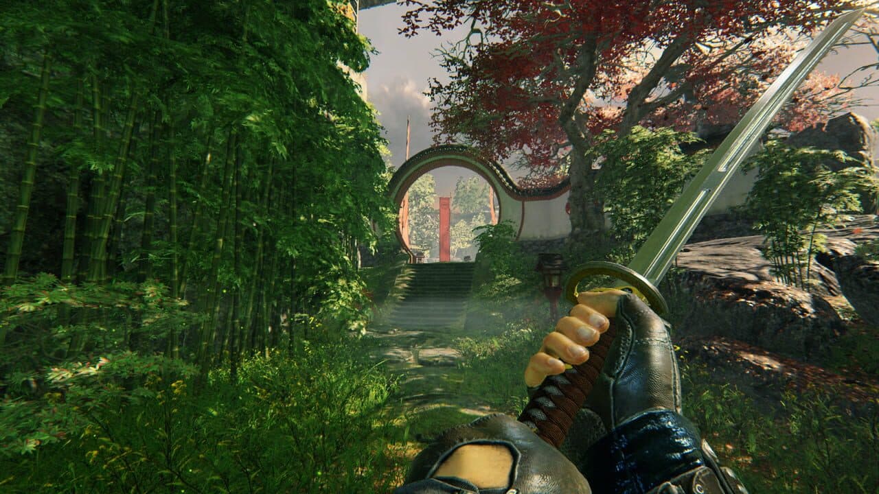 Shadow Warrior thumbnail 6