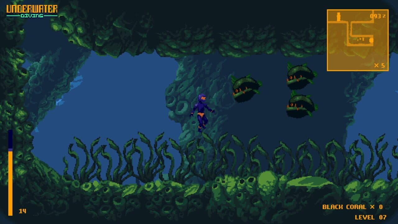 Underwater Diving thumbnail 13