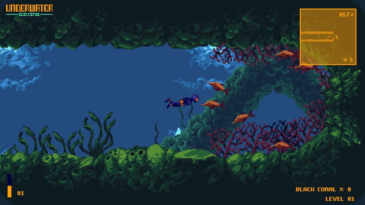 Underwater Diving thumbnail 7