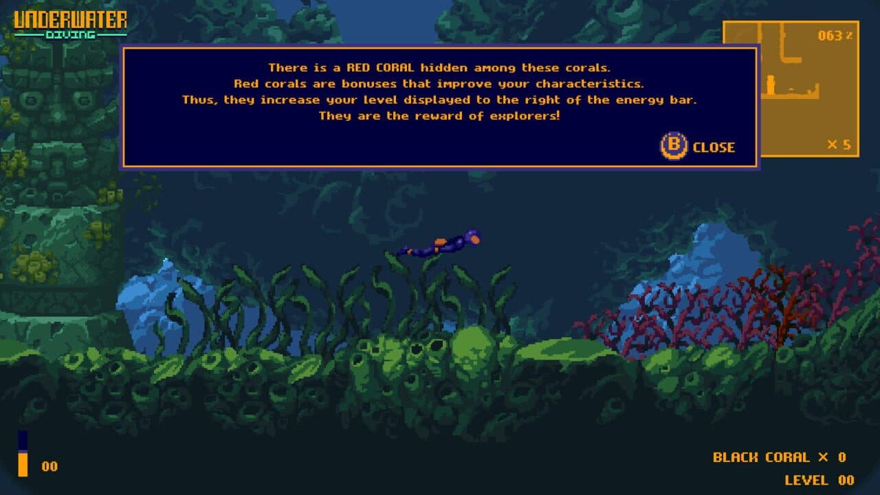 Underwater Diving thumbnail 17