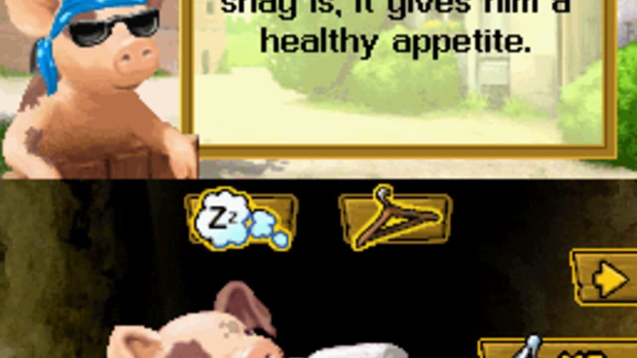 Crazy Pig screenshot 1