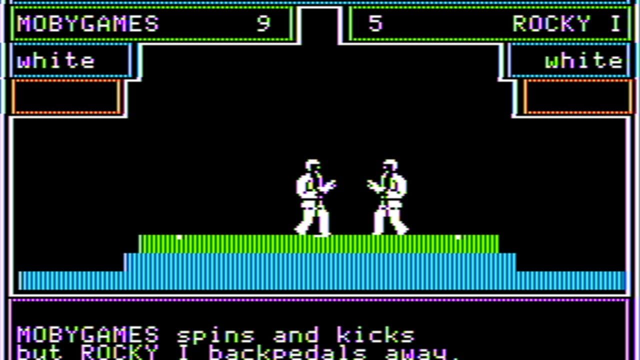 Competition Karate thumbnail 2