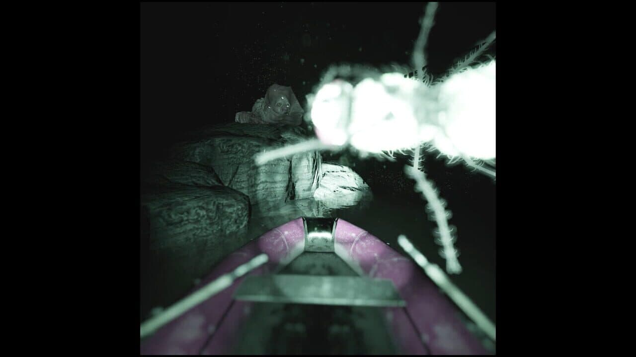 Raccoon on a Boat thumbnail 4