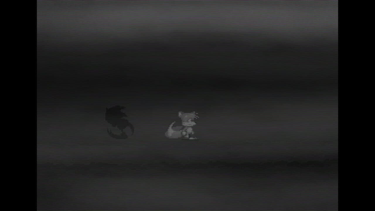The Devil Within thumbnail 2