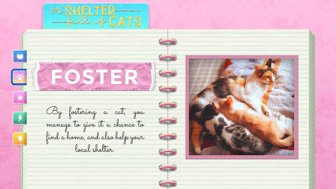 A Shelter Full of Cats thumbnail 7