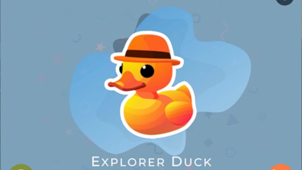 Ducks thumbnail 4