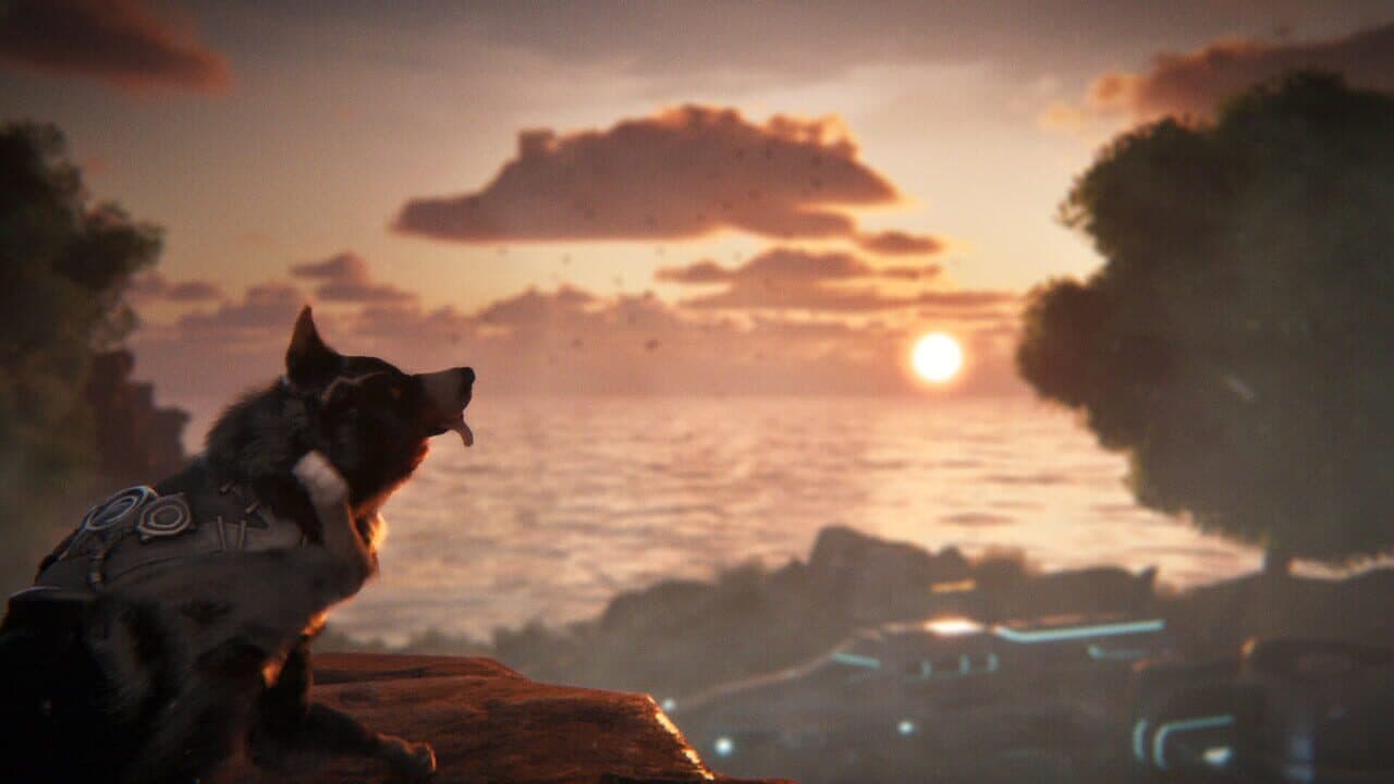 Barkour thumbnail 2