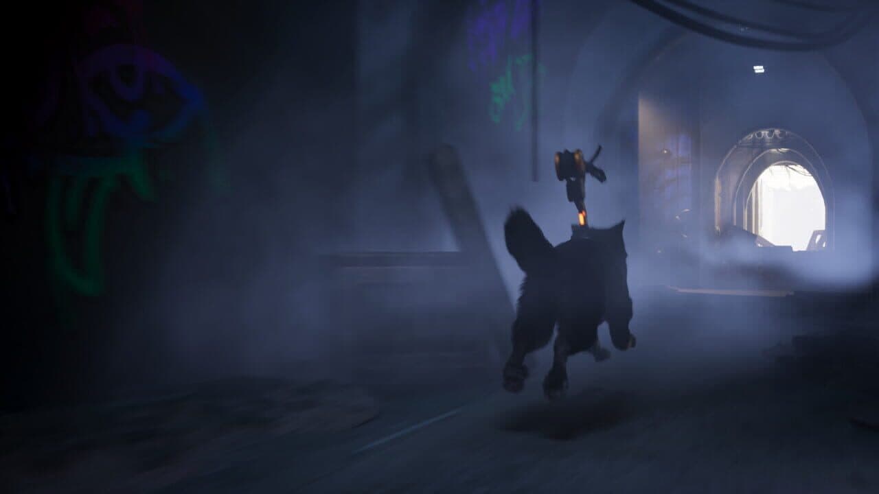 Barkour thumbnail 3