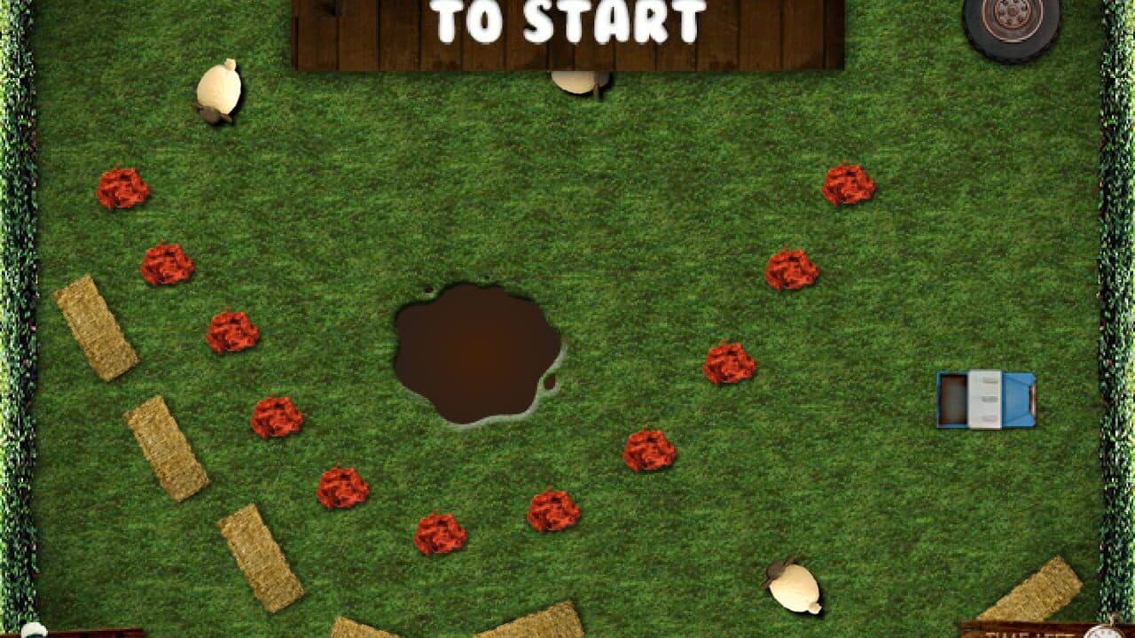 Baldy Dash thumbnail 2