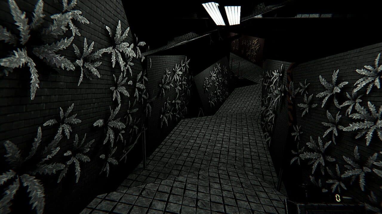 Liminal Gallery thumbnail 3