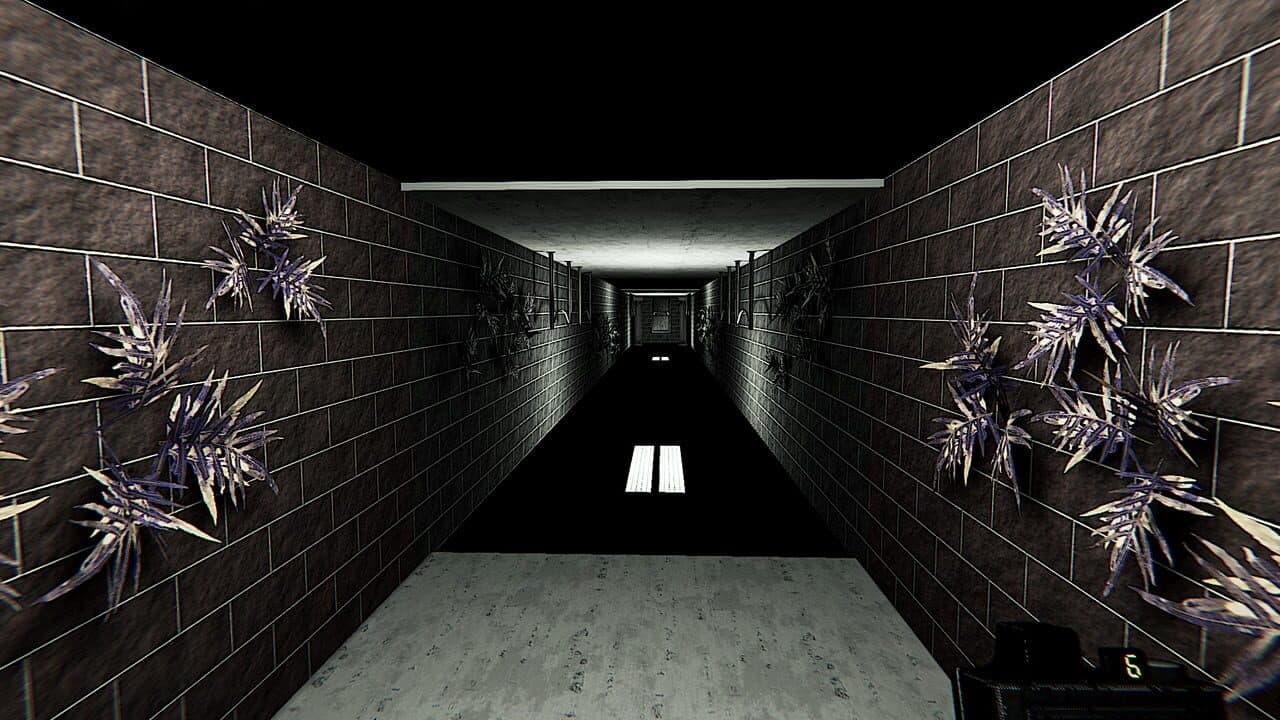 Liminal Gallery thumbnail 5
