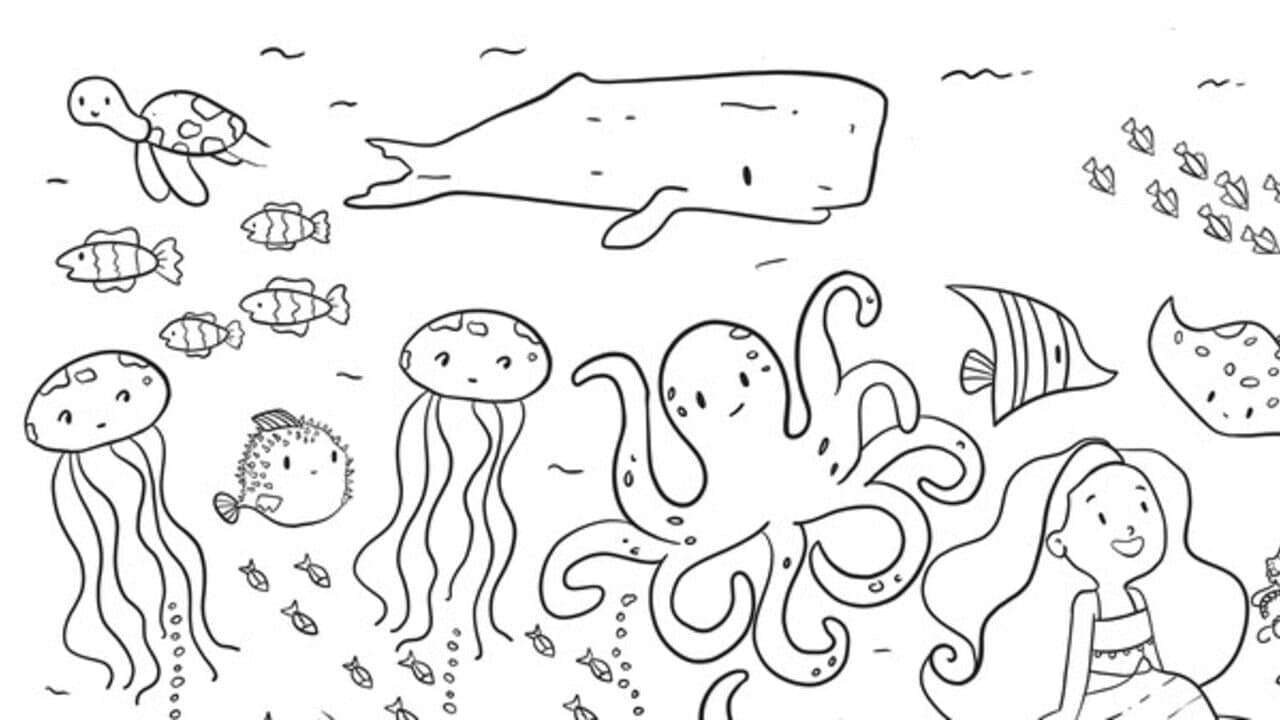 100 Sea Cats thumbnail 5