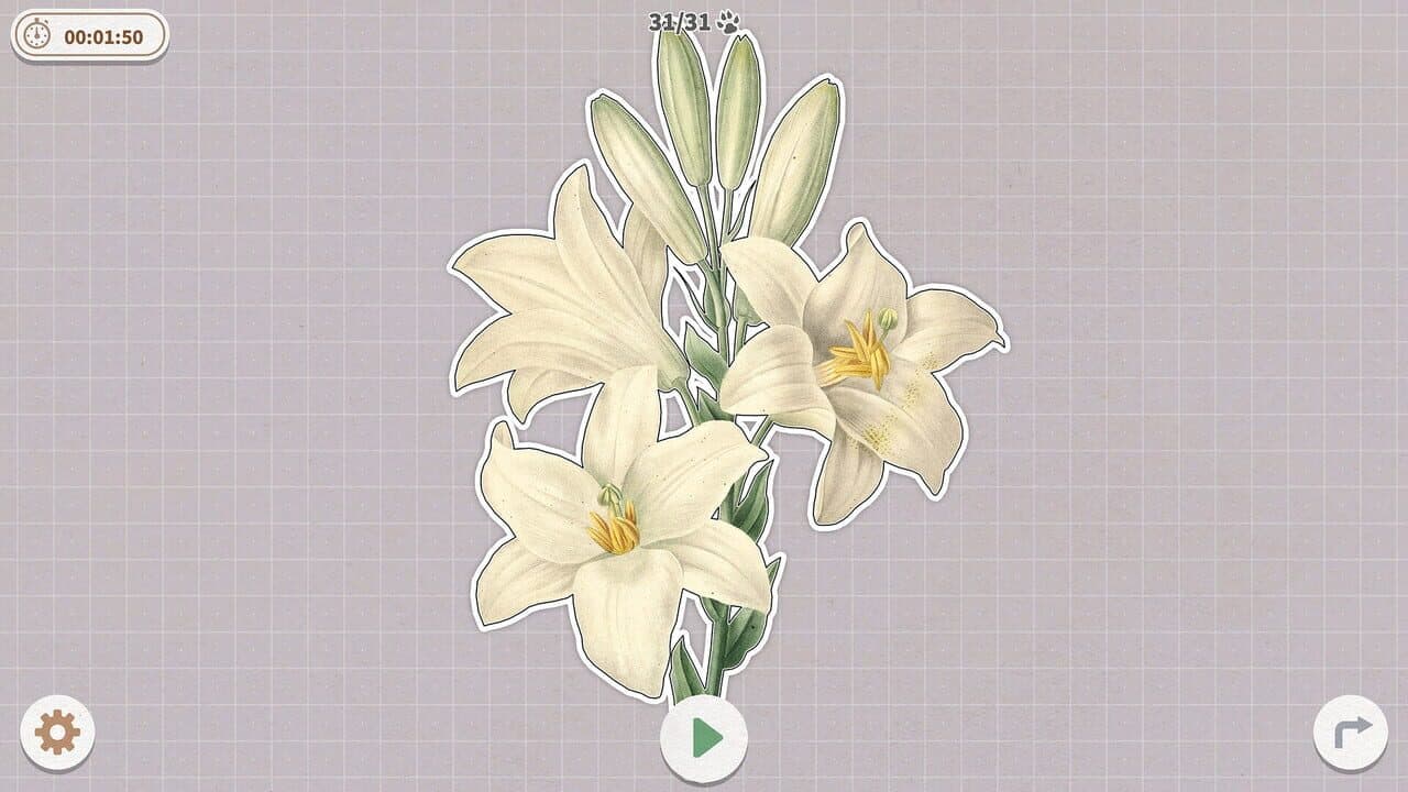 Plants Huddled Together thumbnail 8