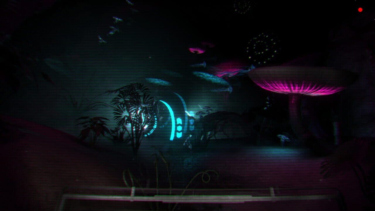 Habilis thumbnail 2