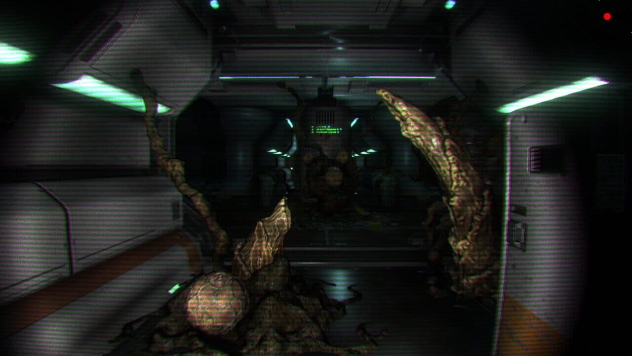 Habilis thumbnail 4