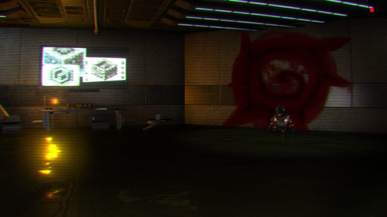 Habilis thumbnail 6