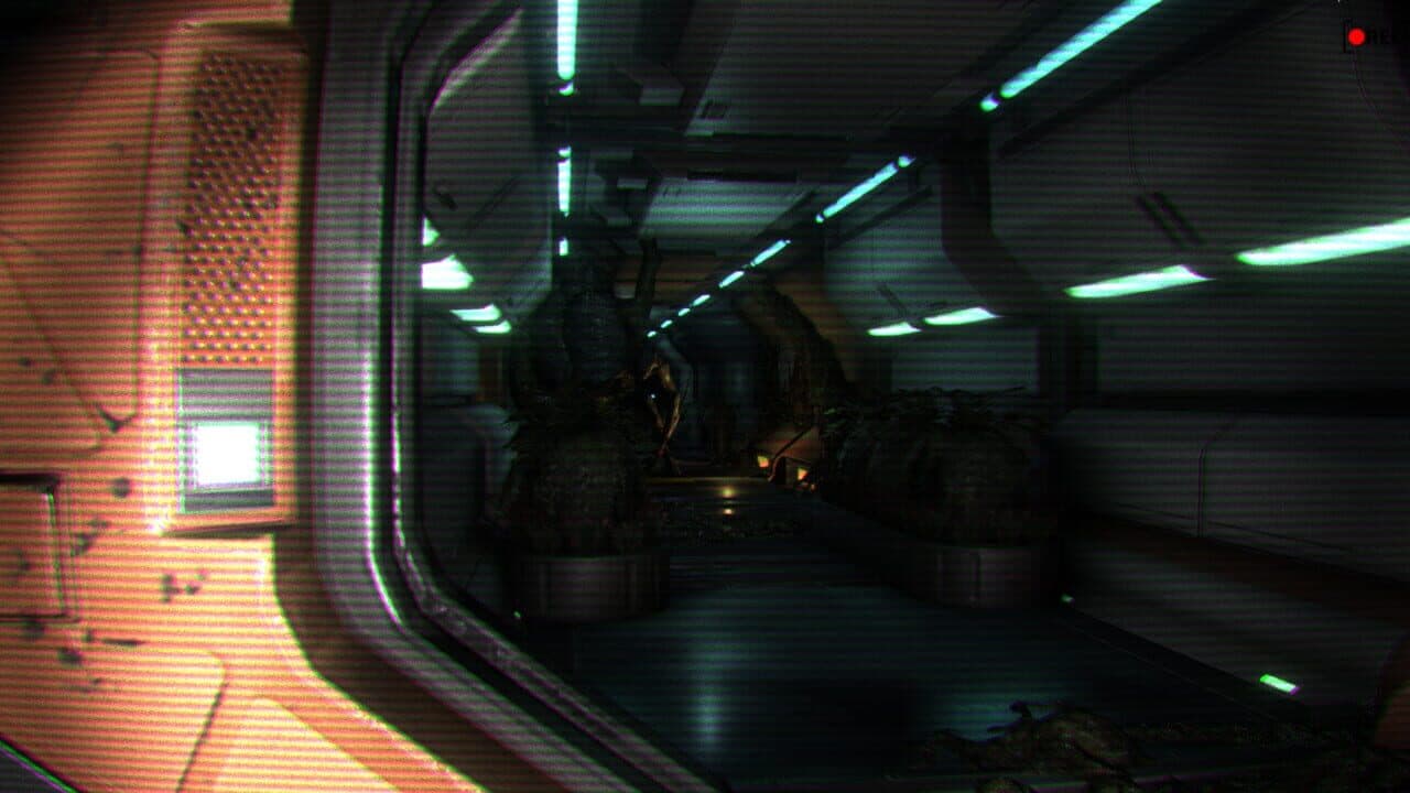 Habilis thumbnail 9