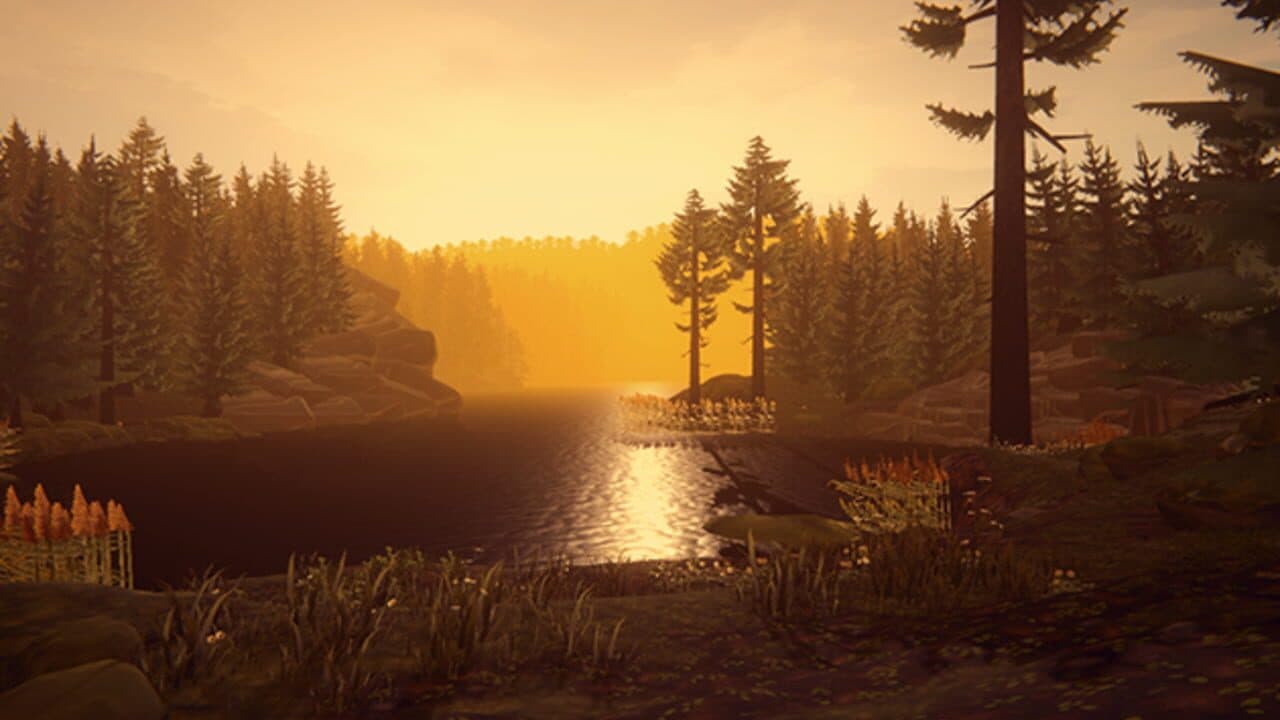 Missing Picture screenshot 1