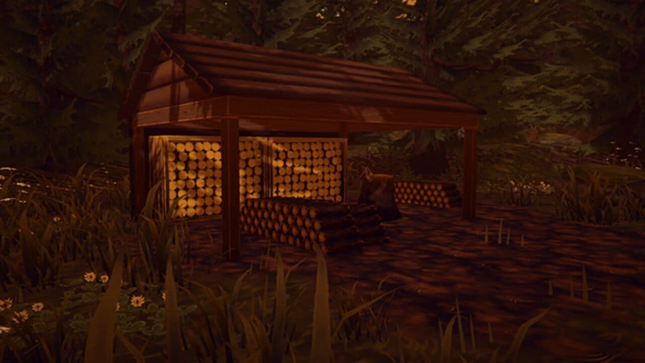Missing Picture thumbnail 6
