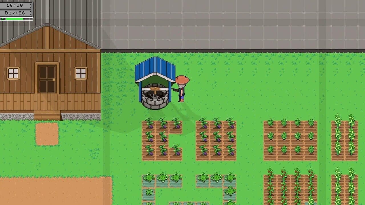 The Seed: Unit 7 thumbnail 5