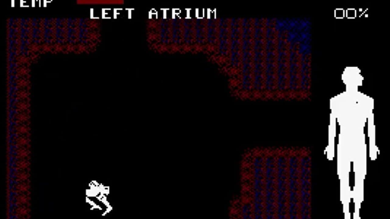 The Fantastic Voyage screenshot 1